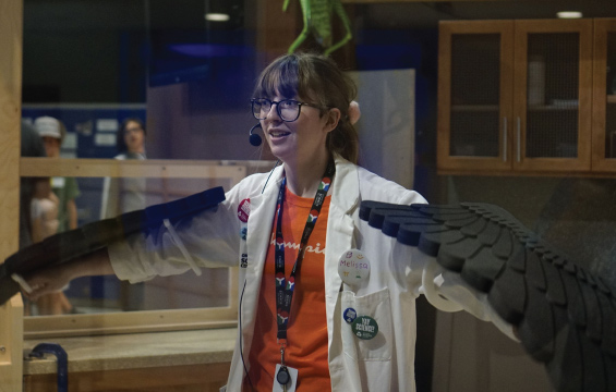 A presenter demonstrates flight wearing synthetic wings.