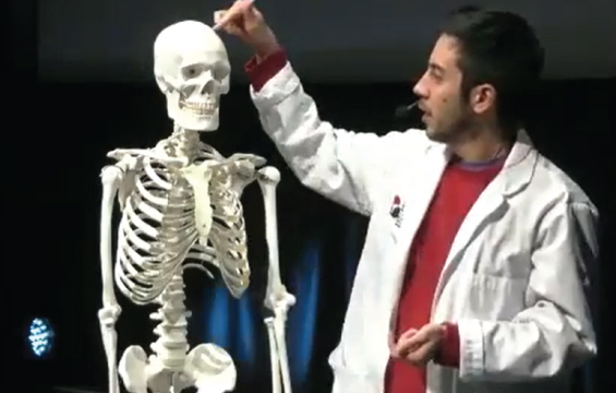 An educator points to the skull of a human skeleton