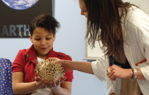 A student holds a pufferfish specimen while an educator tells them about it.