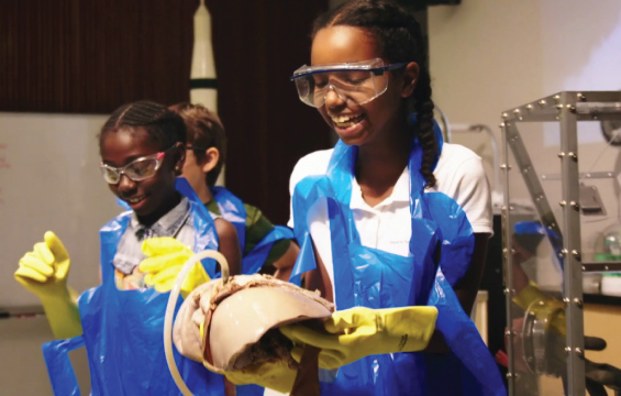 A student wearing protective gear holds and inspects organs.
