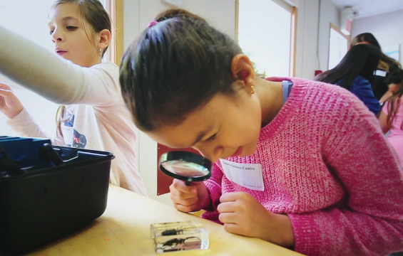 A student peers at a beetle specimen with a magnifying glass.