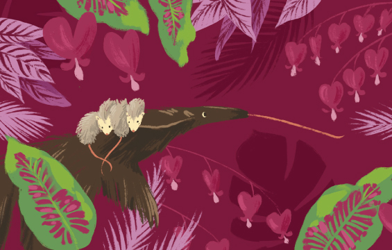 An illustration of an anteater with possums on its back on a pink background.