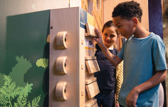 Two children interact with an exhibit in Forest Lane.