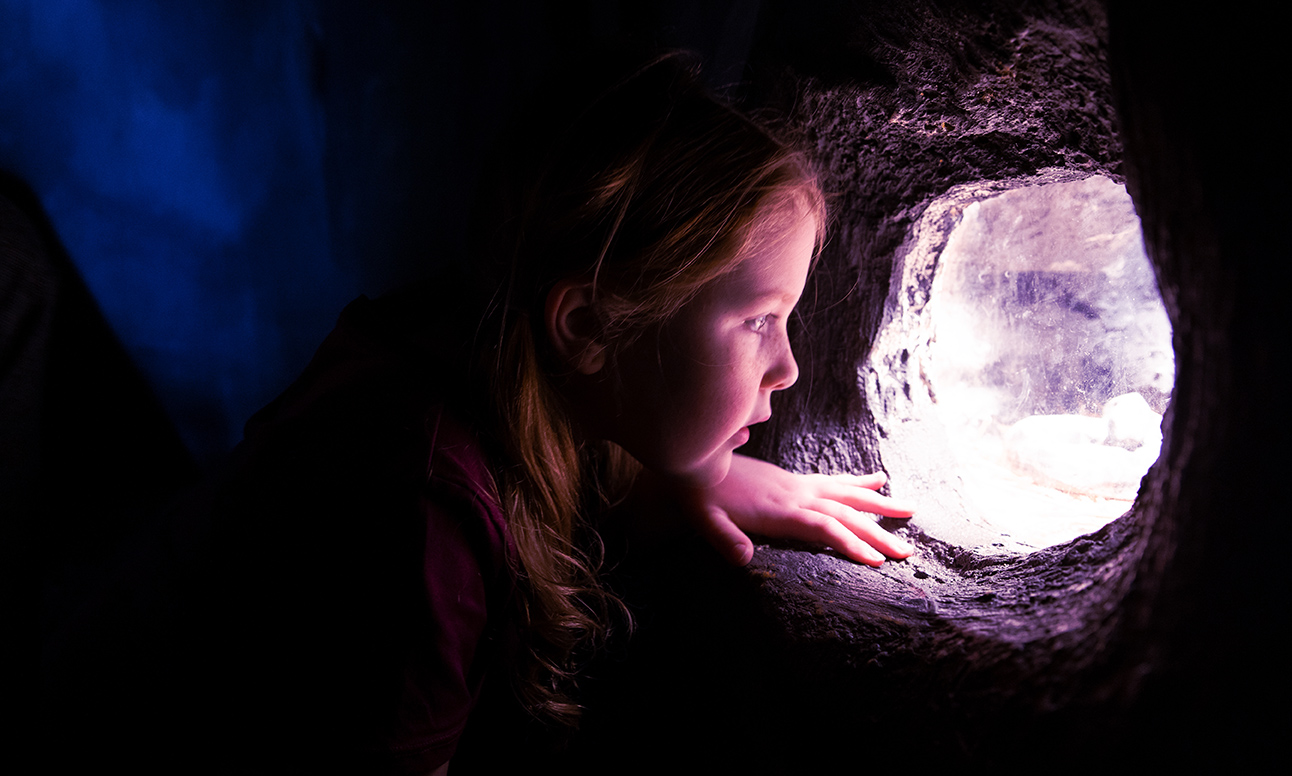 A girl looks our a window in a cave at the Science Centre.