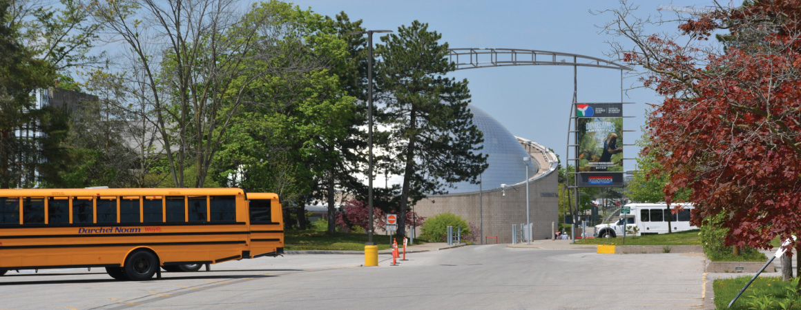 
School buses in the South Parking Lot (parked near the IBM School Group Entrance).
