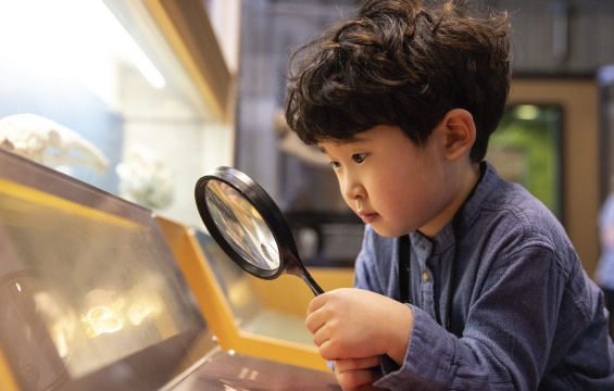 A young child peers through a magnifying glass at an exhibit.