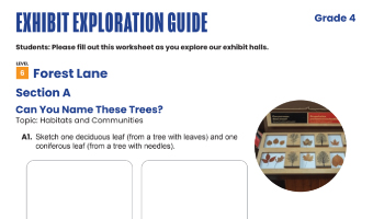 Grade 4 Exhibit Exploration Guide