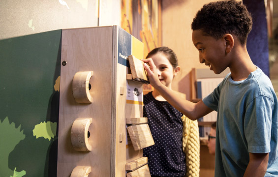 Two students examine an exhibit in Forest Lane.