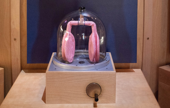 A model of lungs in an exhibit.