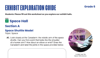 Grade 6 Exhibit Exploration Guide