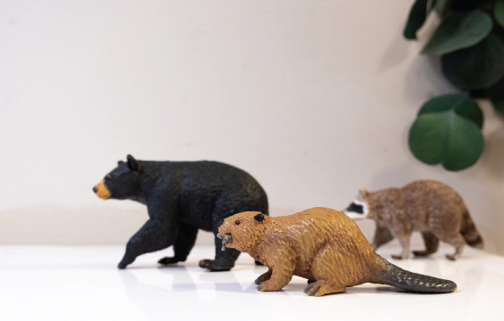 Plastic toys of a beaver, black bear and raccoon.