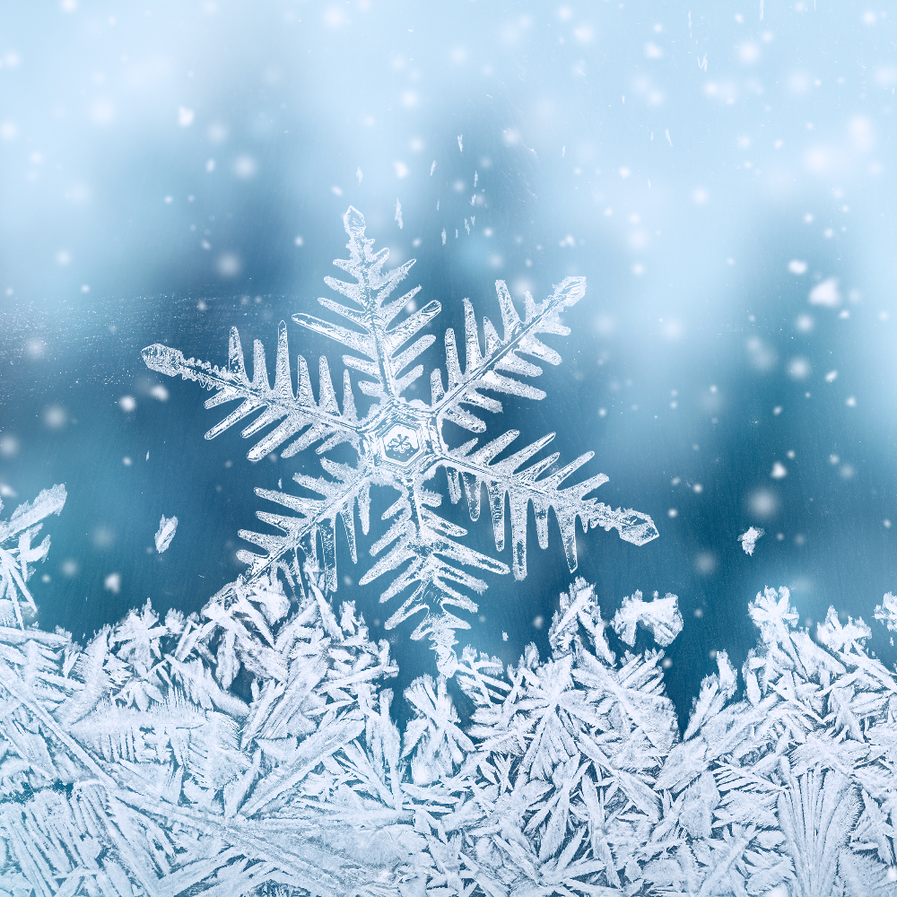 An image of a snowflake.