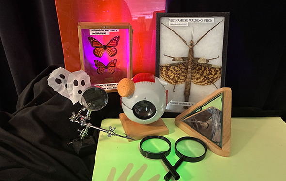 Magnifying glasses and insect models.