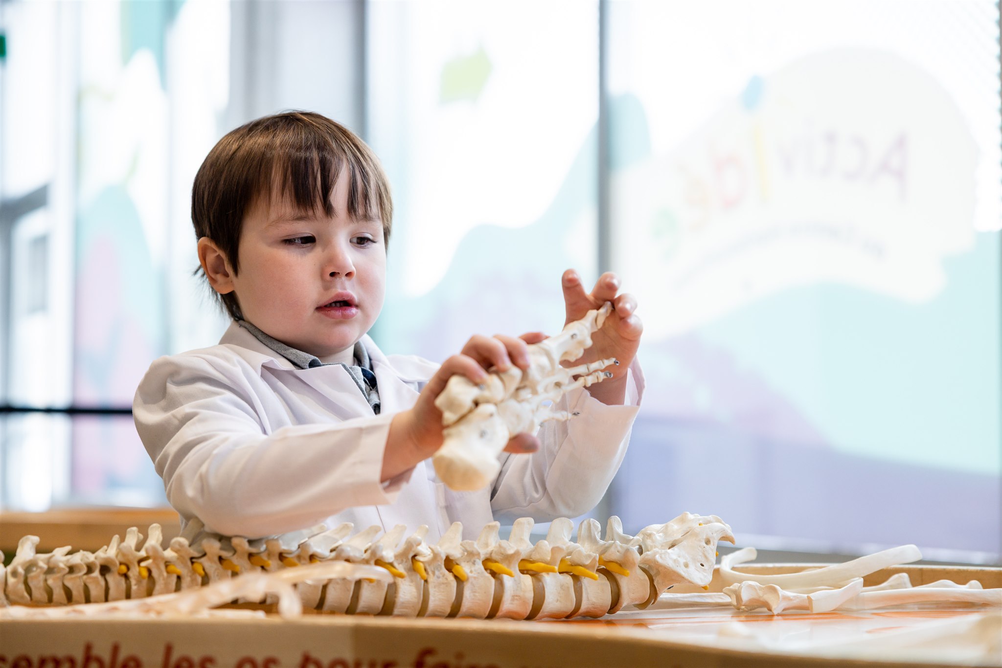 [A boy examining the human toy bones in KidSpark.][Un garçon examine les os-jouets à l'effigie du corps humain dans l'espace KidSpark.]