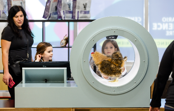 Two young girls and their mother playing with the X Ray machine in the KidSpark.