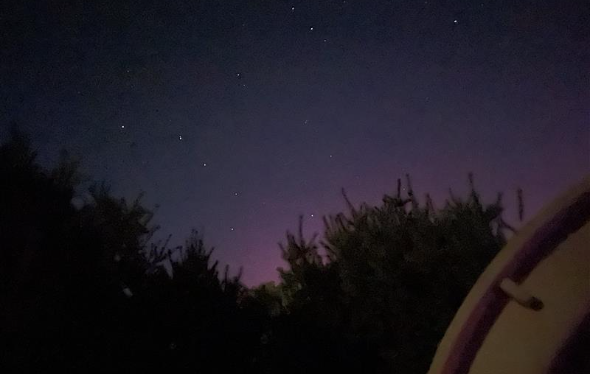 Northern Lights over tree tops.