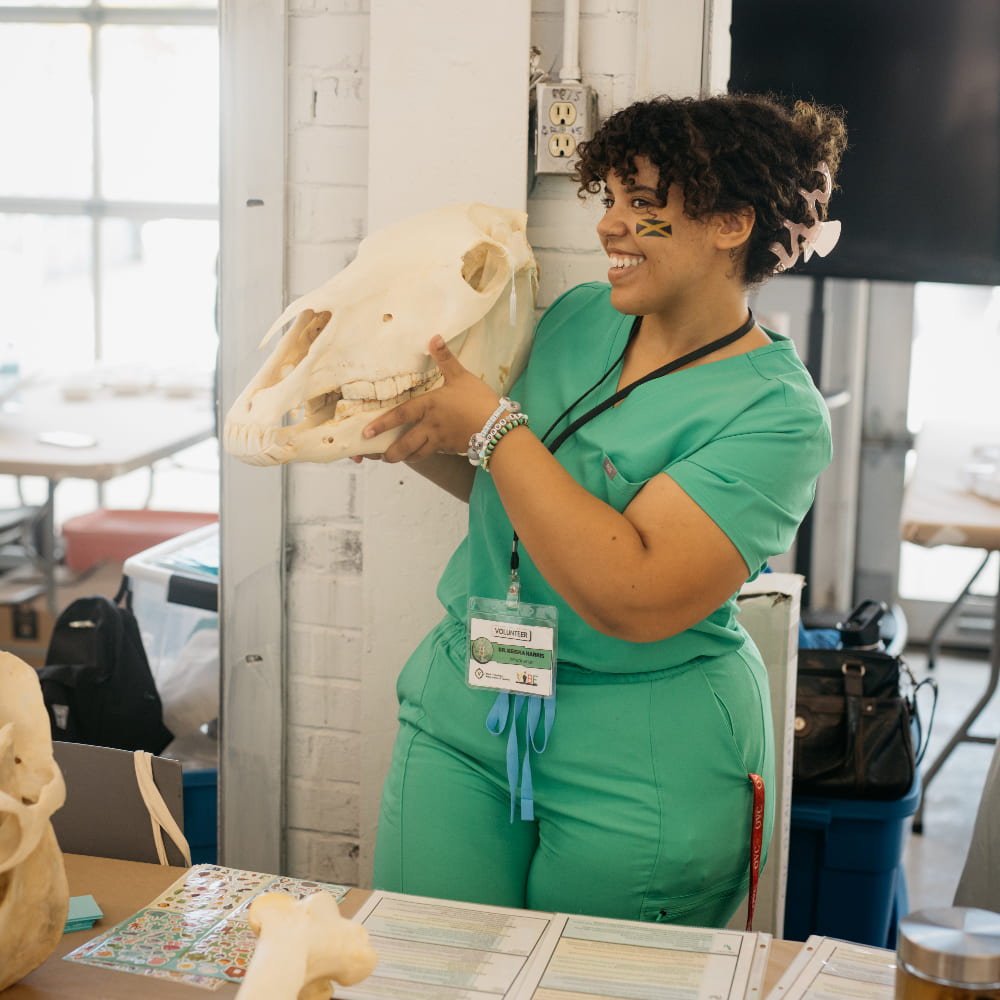 A woman from VIBE holding a skeleton of dinosaur.