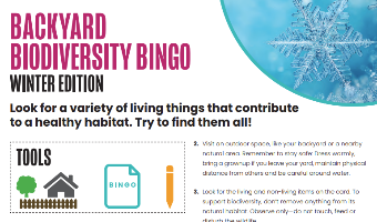 Screenshot Of Winter Bingo.