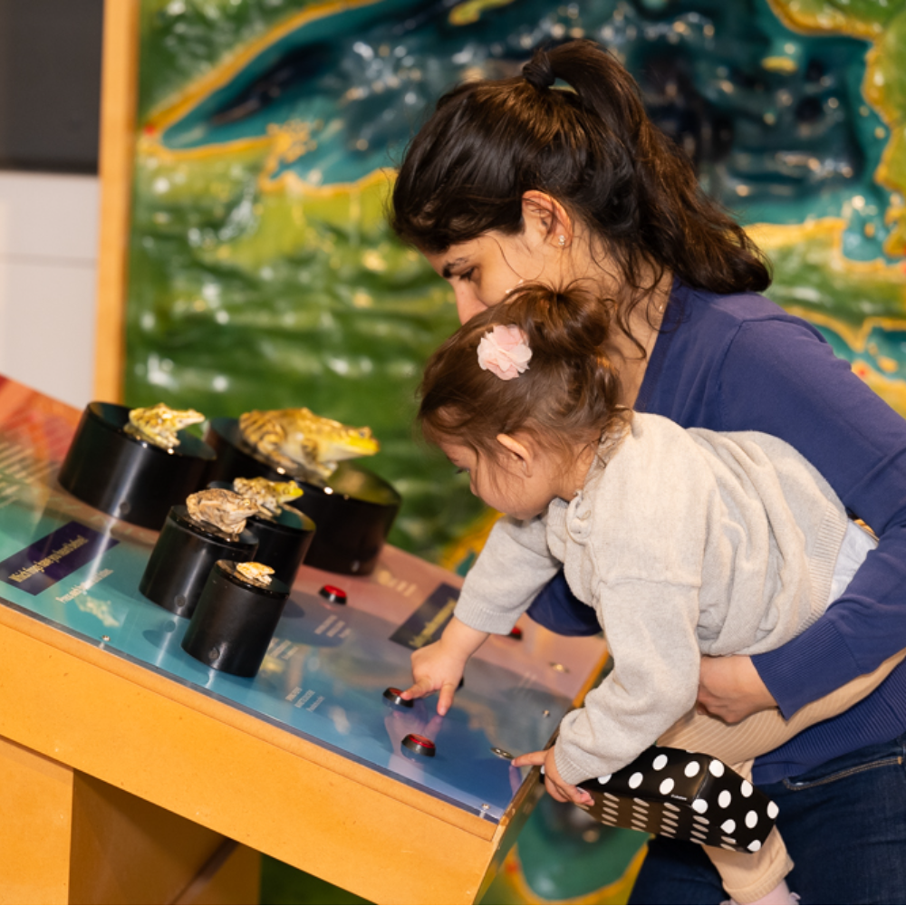 A kid and her mother pressing buttons on the table.