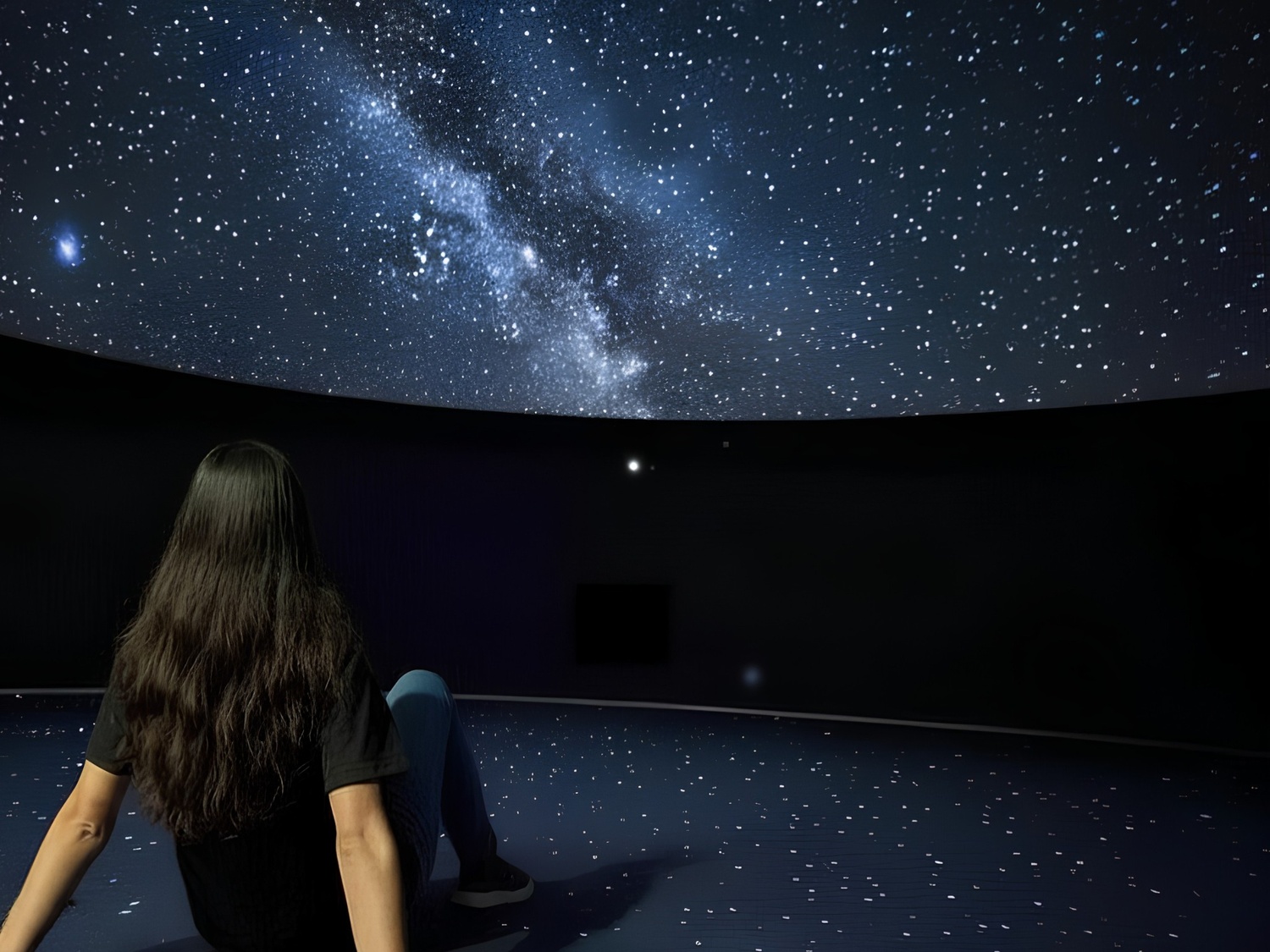 [A kid looking at the screen of dome.]{Un enfant regarde l'écran du dôme.}