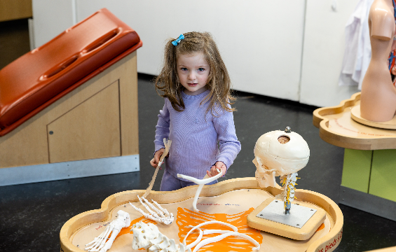 A young girl playing with toy human skeletons