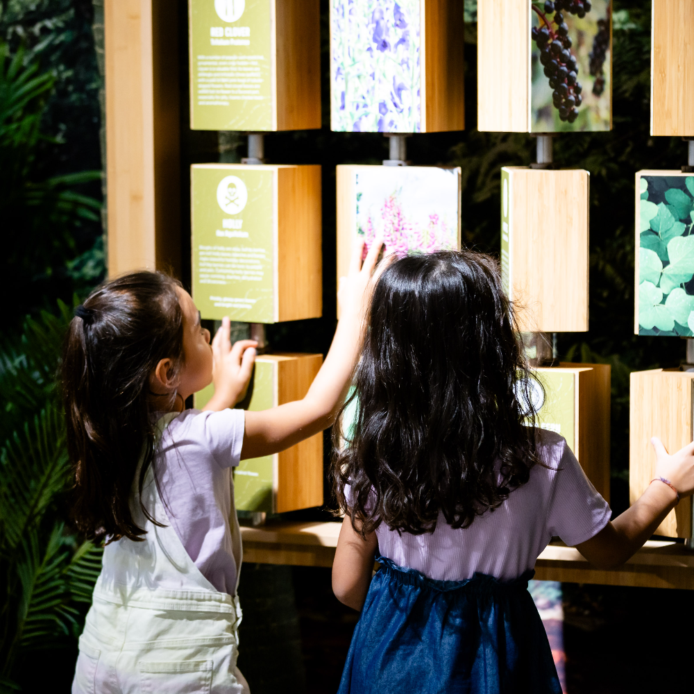 Two girls reading the instructions on an exhibit.